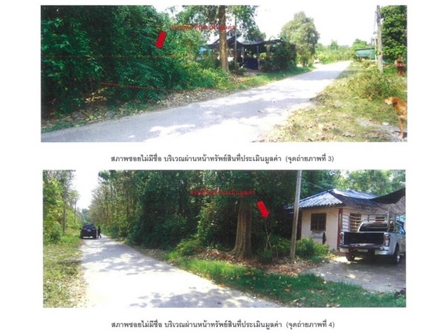 ขายบ้านเดี่ยวมือสอง อำเภอโพทะเล  จังหวัดพิจิตร