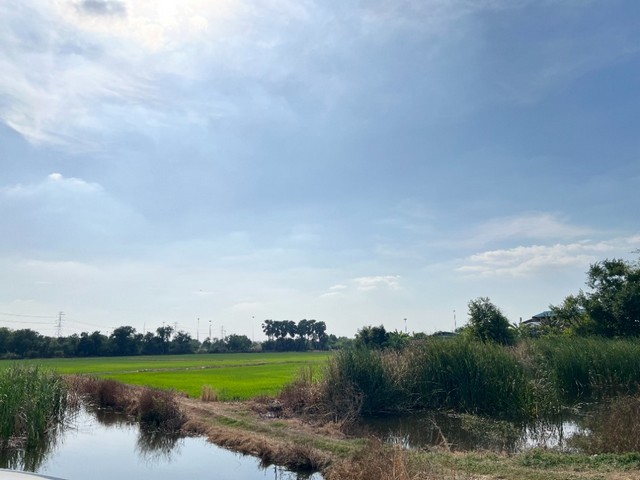 ที่ดิน ถ.โรจนะ ต.ลำตาเสา วังน้อย อยุธยา จาก ถ.โรจนะ 2.5 กม. ใกล้ ตลาดสี่ขวาพัฒนา ด่านวังน้อย มอเตอร์เวย์ตัดใหม่ 