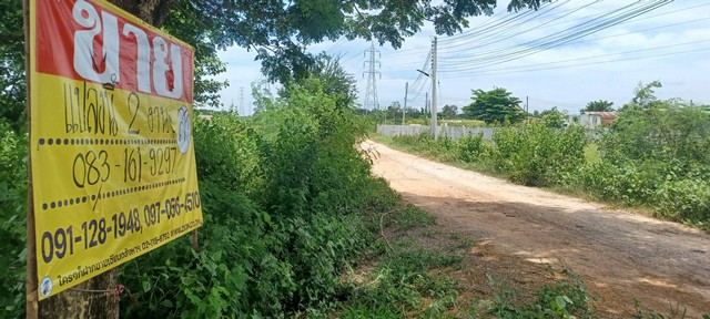 ขายที่ดิน ราคาถูก 200 ตารางวา  บ้านหนองใหญ่ อ.เมือง จ.ขอนแก่น  ZE699