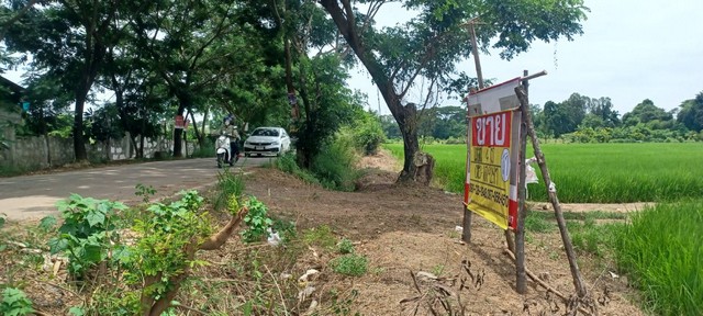 ขายที่นาราคาถูก 4-0-0  ไร่  บ้านเอวมอง ต.เมือง อ.เมือง จ.ขอนแก่น   ZE712