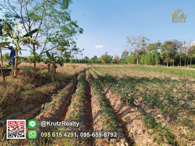 ขายที่ดินโคราชแปลงสวยหัวมุม เนื้อที่เกือบ 5 ไร่ ติดถนน 3 ด้าน ต.โบสถ์ อ.พิมาย จ.นครราชสีมา