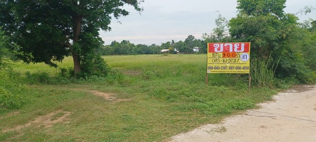 ขายที่นา  9-0-0  ไร่   ราคาโดนใจ  บ้านดงพอง อ.เมือง จ.ขอนแก่น  ZE717