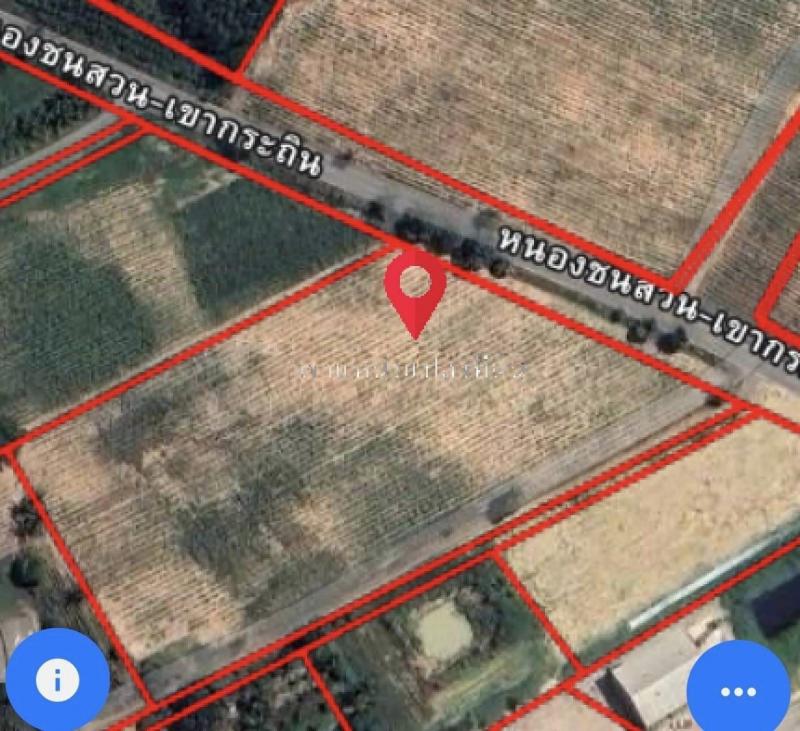 ขายที่ดิน​  7 ไร่​ บ่อกวางทอง อ.บ่อทอง จ.ชลบุรี พืันทึ่สีเหลืองอ่อน