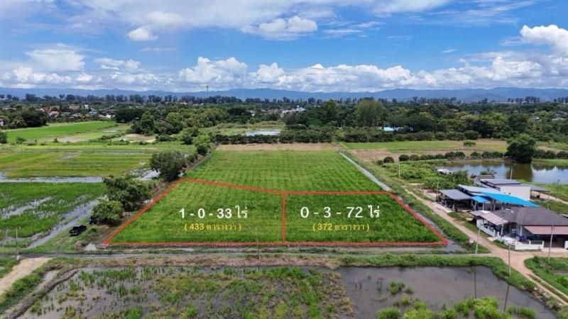 ขายที่ดินเปล่า 999,000 บาท 1-4-05 ตรว. #หนองแฝก สารภี วิวทุ่งนา #วิวภูเขา บรรยากาศดี ติดถนน 2 ด้าน อยู่ในชุมชน เข้าเมืองเพียง 20 นาที