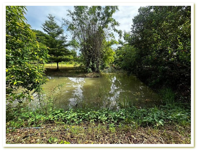 ขาย ที่ดิน ถมแล้ว 5 ไร่ ถูก แถมสิ่งปลูกสร้าง เชียงรากใหญ่ สามโคก ปทุมขาย ที่ดิน  4-3-57 วา พร้อมบ้าน 240 ตรม. ต. เชียงรากใหญ่ อ.สามโคก จ. ปทุมธานี ไม่แพง เข้าออกได้ หลายเส้นทางสนใจติดต่อ เมย์ : [081 662 6493](tel:0816626493): [092 793 9263](tel:0927939263): [081 753 4516](tel:0817534516)Line ID : [maypura](https://line.me/ti/p/uhAaStBSXI)จุดเด่น :· ราคาถูก· เดินทางสะดวก· ใกล้ถนนใหญ่· ถมแล้ว (บางส่วน)รายละเอียด :· ที่ดิน ขนาด 4 ไร่ 3 งาน 57ตารางวา· บ้าน 1 ชั้น พื้นที่ใช้สอย 249 