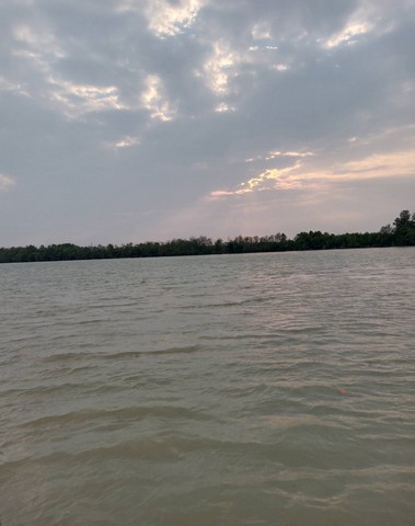        ขายที่ดินถมแล้ว  เนื้อที่ประมาณ  2  ไร่  ล้อมรั้วไว้แล้ว   มีบ้านปลูกไว้  1  หลัง  ส่วนที่เหลือเป็นพื้นที่สวน  สนามหญ้า        ที่ดินตั้งอยู่ริมฝั่งแม่น้ำบางปะกง  บรรยากาศสวยงาม  สงบ  น่าอยู่   ที่ดินมีรูปร่างสี่เหลี่ยมผืนผ้าสวย  มีน้ำประปา  ไฟฟ้าพร้อมใช้  มีเพื่อนบ้านปลูกบ้านเรียงรายอยู่เป็นระยะเดินทางจากที่ดินแปลงนี้เข้ากรุงเทพฯ สะดวกมาก ด้วยระยะทางสั้นๆขาย