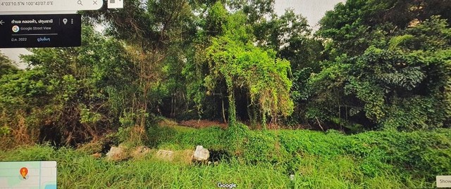 ขายถูกมากที่ดินสี่เหลี่ยมผืนผ้า ซอย คลองห้าตะวันออก 2  คลองหลวง จ.ปทุทธานี  เนื้อที่ 1 ไร่ แหล่งชุมชน  ใกล้มหาลัยราชมงคลธัญบุรี