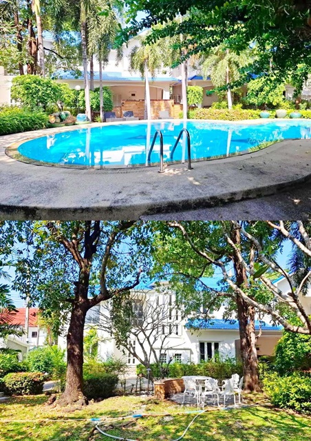 พลูวิลล่า พร้อมสระว่ายน้ำ  ในรั้วเดียวกัน 792 ตร.วา.คฤหาสน์หรู 4 หลัง 2,122 ตร.ม.จัดเต็มเฟอร์ 16 นอน 20 น้ำ อีเกียบางนา