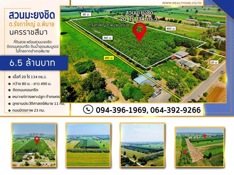 ขายที่ดิน พร้อมสวนมะยงชิด อยู่ในชุมชนบ้านรังกาใหญ่ อ.พิมาย>>> ราคา 6.5 ล้านบาท 