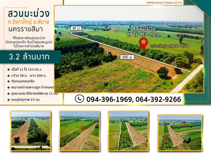 ขายที่ดิน พร้อมสวนมะม่วง อยู่ในชุมชนบ้านรังกาใหญ่ อ.พิมาย>>> ราคา 3.2 ล้านบาท 