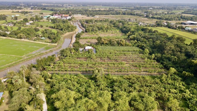 ที่ดินหนองแค สระบุรี  ไร่ละ 980,000 บาท แบ่งขายล็อกละ 4 ไร่ขึ้นไป