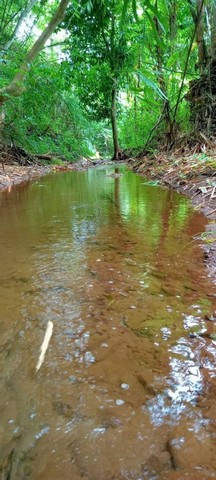 ที่ดินเปล่า ติดลำธาร หุบเขาวิวสวย น้ำแพร่ หางดง         