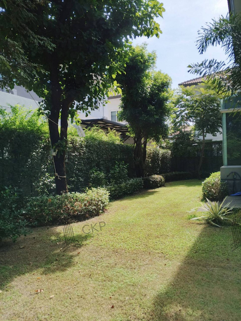 บ้านเดี่ยว เดอะ แกรนด์ ปิ่นเกล้า-เดอ ไพน์ หน้าบ้านไม่ชนใคร สงบร่มรื่นมาก ใกล้ม.มหิดล เดินทางสะดวก