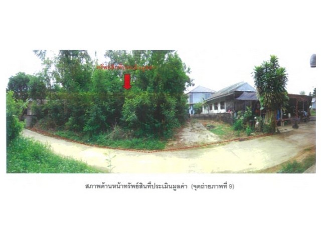   Code ID : PGPCT620022  ราคา 700,000  บาท ▸ เนื้อที่ 1 งาน 77 ตร.ว  พื้นที่ใช้สอย 132 ตร.ม.   ▸ 2 ห้องนอน 1 ห้องน้ำ    ▸ 1 ที่จอดรถ   บ้านหันไปทางทิศตะวันตกเฉียงเหนือ  พิกัดทรัพย์ : https://maps.app.goo.gl/W9RcxgV3VepVHv6c9  สถานที่ใกล้เคียง ▸ใกล้  PTT Station ปตท.เนินปอ ▸ใกล้  โรงพยาบาลสามง่าม ▸ใกล้  ตลาดสามง่าม ตลาดศรีโสภณเก่า ▸ใกล้  ที่ว่าการอำเภอสามง่าม  สอบถามเพิ่มเติม / นัดชม โทร. 097-419-5982(พลอย) โทร. 096-932-4624(ออมสิน) Line : @panaya (มี@ด้านหน้า)  ปรึกษ�