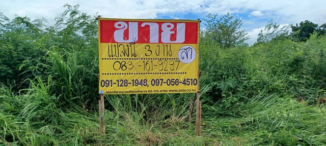 ขายที่ดิน 300 ตารางวา ทำเลดี  ราคาถูก  ใจกลางชุมชน ใกล้โรงพยาบาลราชพฤกษ์ขอนแก่น   ZE703