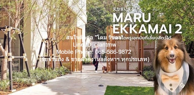 Condo. Maru EKKAMAI 2 มารุ เอกมัย 2 area 55 ตาราง.เมตร 2นอน2BR 12500000 thb ทำเลน่าอยู่ เป็นคอนโดหรูระดับ Super Luxury ที่เลี้ยงสัตว์ เดินทางสะดวกสบาย ใกล้แหล่งช้อปปิ้ง สถานที่ท่องเที่ยว และร้านอาหารมากมายในย่านสุขุมวิท, ทองหล่อ & เอกมัย