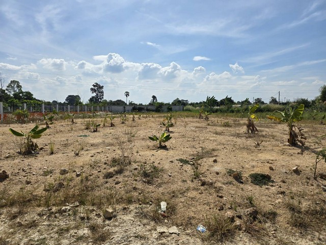 ขายถูก ที่ดิน ศรีราชา-นาพร้าว ขนาด 1ไร่ 95วา แปลงสวย ติดถนน 2 ด้าน ถมแล้ว พร้อมใช้งาน