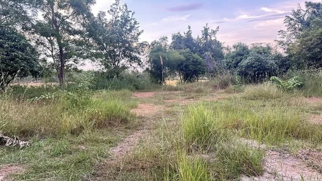 ขายที่ดิน 6 ไร่ เจ้าของขายเอง  ตำบลหนองเรือ อำเภอเมือง จังหวัดยโสธร