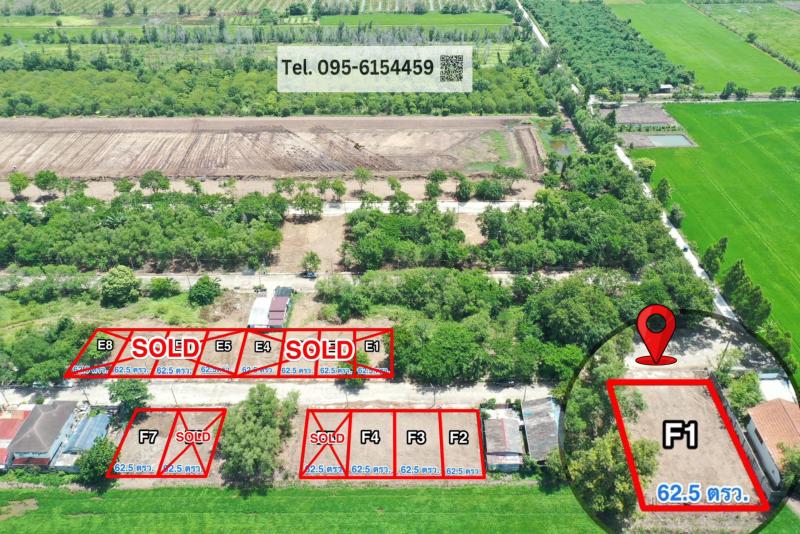 ขาย ที่ดินจัดสรร พัฒนาแล้ว พร้อมเข้าอยู่ ต.บึงบา อ.หนองเสือ คลอง 10 ปทุมธานี น้ำ ไฟ พร้อม ราคาถูก ฟรีโอน สด-ผ่อน