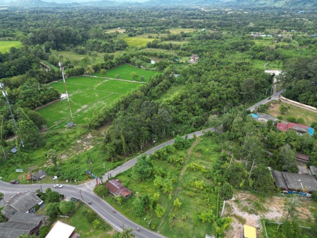 ขายที่ดิน 9 ไร่ ปากพลี นครนายก ทำเลดี ติดถนน 9 ไร่ แปลงใหญ่ สวย หน้าที่ดินติดถนน