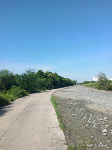                  ขายที่ดิน 25 ไร่ ที่ดินมีรูปร่างสี่เหลี่ยมผืนผ้า มีหน้ากว้างติดถนนซอยสาธารณะ ประมาณ 240 เมตร ถนนซอยนี้เทพื้นผิวด้วยคอนกรีต กว้างประมาณ 8 เมตร เป็นซอยที่แยกเข้ามาจาก ถนน 3005 (บ้านโพธิ์-หัวเนิน) ระยะห่างจากที่ดินแปลงนี้ถึงปากซอยเพียง 150 เมตร ซอยนี้สามารถออกสู่แม่น้ำบางปะกงได้                   ถนน 3005 นี้กำลังขยายเป็น 4 ช่องจราจร เพื่อเชื่อมต่อระหว่างถนน 314 (สิริโสธร) มา