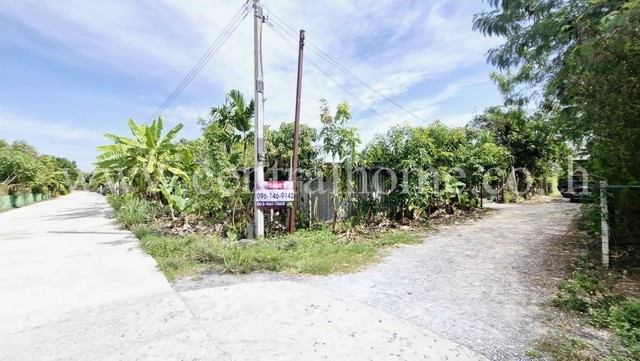 ที่ดินพร้อมสิ่งปลูกสร้าง บ้านสวน นนทบุรี บ้านไม้สร้างเอง