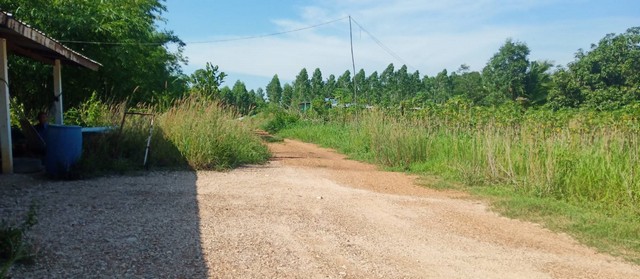 ขายที่ดินถมแล้ว  5 ไร่ แถมบ้าน ติดถนนสาธารณะ 2 ด้าน  ต.นาวังหิน อ.พนัสนิคม จ.ชลบุรี