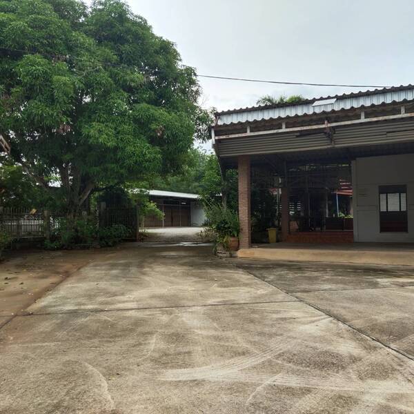 ขายบ้านเดี่ยวพร้อมที่ดินตั้งอยู่ที่ตำบลขุนกระทิงอำเภอเมืองชุมพรจังหวัดชุมพร– เนื้อที่ดินจำนวน 3 ไร่ 2 งาน 31 ตารางวา-บ้านเดี่ยว 2 ชั้น 2 ห้องนอน 3 ห้องน้ำ 1 ห้องครัว 1 ห้องรับแขกมีบริเวณพื้นที่กว้างขวางรวมถึงที่จอดรถหลายคัน– พร้อมกับอาคารอเนกประสงค์ชั้นเดียวหน้ากว้างประมาณ 35 เมตรไว้สำหรับทำกิจการค้าขายได้-การคมนาคมสะดวกมากทางลาดยางห่างถนนเอเชียฝั่งขาขึ�
