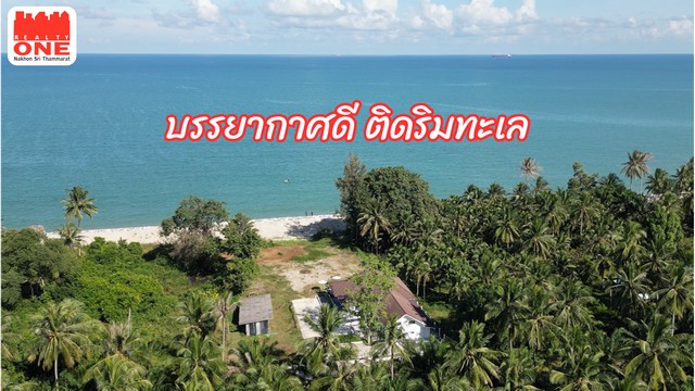 สัมผัสชีวิตติดทะเล กับบ้านพักสุดพิเศษ บนเนื้อที่กว้าง 2-3-42 ไร่ หน้ากว้าง 35 เมตร ลึก 125 เมตร