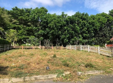 Sub1259ขายด่วน! ที่ดิน 2 ผืน โครงการพาราดิส ชาเลต์ ถนนเทศบาล 5 เนื้อที่ 124 ตรว.ได้วิวธรรมชาติสวยๆ พร้อมกับทำเลดีที่มอเตอร์เวย์มาลงปากช่อง และรถไฟความเร็วสูงผ่านด้านหน้าโครงการด้านหลังที่ดินเป็นภูเขา ภายในเป็นที่ดินจัดสรรมีเพื่อนบ้านหลายหลัง น้ำไฟพร้อม มีรปภ.คอยดูแล หมู่บ้านน่าอยู่ สังคมดี เหมาะแก่การอยู่อาศัยหรือเป็นบ้านพักตากอากาศ ค่าส่วนกลางตรว.ละ 15 บาท