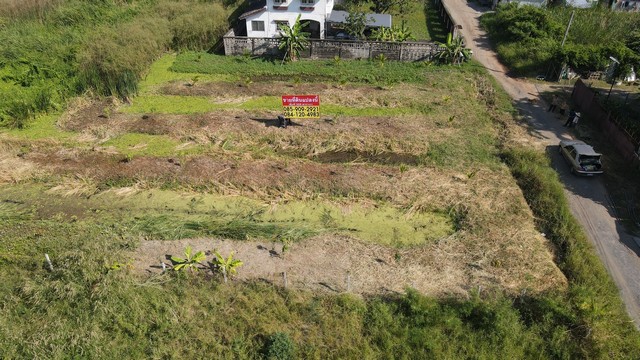 ขายด่วนที่ดินตรงข้าม Maga Bangna  เนื้อที่ 306 ตร.วา  บางแก้ว   บางพลี ติดทางด่วนกาญจนาภิเษก บางพลี-สุขสวัสดิ์   ZTK159