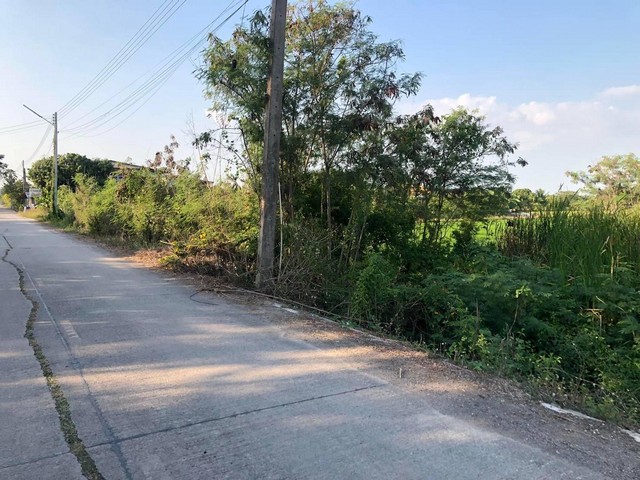 HOT SALE ซื้อขายทรัพย์ ส่งท้ายปี แบ่งโฉนดขายที่ดิน อ.ลาดหลุมแก้ว  ปทุมธานีไร่ละ 800000 โทร 083-7124115