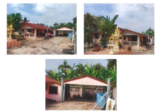 ขายบ้านเดี่ยวมือสอง อำเภอดงเจริญ จังหวัดพิจิตร