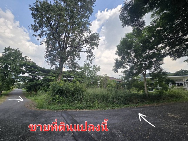 ขายที่ดิน 289.9 ตร.ว ม.ภูภัทรา ปากช่อง เขาใหญ่ แปลงมุม ทำเลดี ติดถนน 2 ด้านที่ดินทำเลดี แปลงมุม ติดถนน 2 ด้าน ด้านหลังติดลำคลองสาธารณประโยชน์พื้นที่ 289.9 ตร.วกว้าง 33 ม. ลึก 36 ม.แปลงที่ 23 โครงการ 3 ที่ตั้ง: ตำบลพญาเย็น อำเภอปากช่อง จังหวัดนครราชสีมาพิกัดแปลง: 14.57515844,101.22485729สถานที่ใกล้เคียง :  - พีบีวัลเลย์  - เขาใหญ่ไวน์เนอรี่ - ภิรมม์ ค่าเฟ่ - DAIRY HOME Family $ Have a good day hubราคา  4,638,400 บาท (16,000 / ตร.ว)สนใจนั