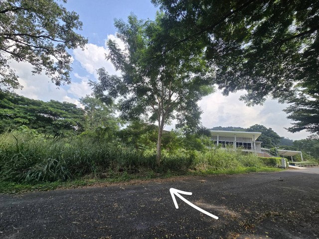 SALE ขาย พื้นที่ดิน ภูภัทรา เขาใหญ่  ราคานี้หาไม่ได้แล้ว