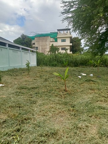 ขายที่ดิน 120 ตร.ว. ซอยบรมราชชนนี68  แขวง ศาลาธรรมสพน์ เขต ทวีวัฒนา กทม 