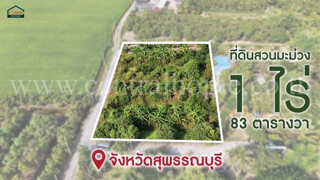 รหัสทรัพย์ : N0197ที่ดินสวนมะม่วง โพธิ์พระยา เมืองสุพรรณบุรี ใกล้ตัวเมือง ราคาถูกมากที่ตั้ง : ต.โพธิ์พระยา อ.เมืองสุพรรณบุรี จังหวัดสุพรรณบุรี 72000รายละเอียดทรัพย์ :- ที่ดิน พร้อมสวน, เนื้อที่ 1 ไร่ 83 ตารางวา- ที่ดินติดถนน มีผลผลิตพืชสวนครัว และมะม่วง ขนุน - แปลงที่ดิน สี่เหลี่ยมผืนผ้าสวย หน้ากว้างติดถนน- สภาพดี เหมาะต่อการทำสวน หรือ ปลูกบ้าน- ทำเลดี เดินทา�
