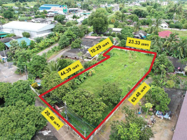 ขายที่ดินแปลงสวย 314 ตรว หน้ามหาวิทยาลัยราชภัฏเชียงใหม่ ศูนย์แม่ริม ต.ขี้เหล็ก อ.แม่ริม จ.เชียงใหม่ 