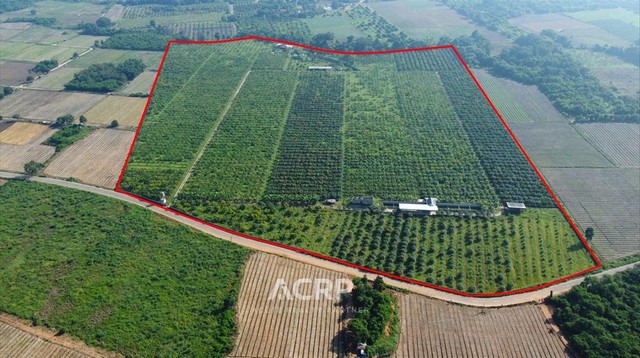 ขายสวนมะม่วง อ.ป่าซาง จ.ลำพูน พร้อมต้นมะม่วง 5,000 ต้น อายุ 4-6 ปี มีมะม่วงหลายพันธุ์ อาทิ พันธ์มันขุนศรี เขียวมรกต อาร์ทู และแก้วขมิ้น ขนาดที่ดิน 117-3-84 ไร่ มีบ่อเก็บน้ำขนาดใหญ่ 4 บ่อ ไฟฟ้า(3เฟส) พร้อมบ้านพักและโกดัง ระบบน้ำสปริงเกอร์ทั้งสวน ถนนคอนกรีตรอบสวน เจ้าของดูแลอย่างดี พร้อมดำเนินการต่อได้เลย ห่างจากวิทยาลัยการอาชีพป่าซาง 6.7 กิโลเมตร และอ่างเก็บน้ำแม่เมย 12.8 