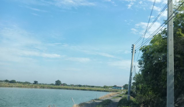                   ขายที่ดิน 18 ไร่ ที่เป็นบ่อปลาทั้งแปลง รูปร่างที่ดินเป็นสี่เหลี่ยมผืนผ้า มีหน้ากว้างติดถนนซอยสาธารณะ ประมาณ 93 เมตร  มีน้ำประปา ไฟฟ้า ผ่านหน้าที่ดิน                                    ที่ดินตั้งอยู่ห่างจากถนน 315 (ฉะเชิงเทรา-พนัสนิคม) ประมาณ 2 กิโลเมตร ใกล้ศูนย์การศึกษานอกโรงเรียนขายถูกเพียงไร่ละ  4.5  แสนบาท**สนใจดูที่ดินจริง รบกวนนัดล่วงหน้าอย่างน้อย 1 วันค่ะ** ติดต่อ ภญ.เทเรซา 