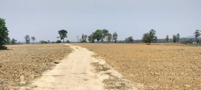 M650369ขายที่ดินด่วน ต.ร่องจิก อ. ภูเรือ จ. เลยโฉนดที่ดิน 25 แปลงที่ดินเนื้อที่  609 ไร่ 3 งาน 6.7 ตารางวาราคาไร่ละ  300,000 บาทติดทางหลวงแผ่นดิน หมายเลข 21 ถนน สายเลย-หล่มสักที่สวยทำเลทองโทร: แหม่ม083​ 459 2878ID Line:madosiam5678หรือคลิกลิงค์ไลน์https://line.me/ti/p/Xg9GUyOuA8ลูกค้าแอดเพื่อนแล้วทักด้วยสติกเกอร์ได้เลยนะคะ  ทางเราจะมีทีมงานตอบข้อมูลให้ค่ะ   ^_^  ******************************Siam Assetบริการเกี่ยวกับอสังหาฯรับ ฝาก ขาย บ้านคอ