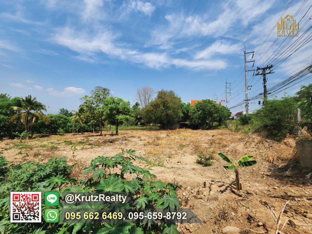 ขายที่ดินแม่แตง ติดถนนเส้นหลัก เนื้อที่ 3 งาน 59 ตารางวา ตำบล สันมหาพน อำเภอ แม่แตง จังหวัดเชียงใหม่