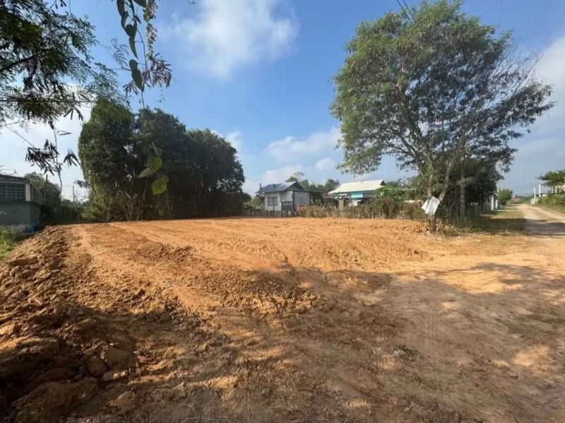 ขายที่ดินเปล่า 1.5 ล้าน 98 ตรว. บ้านแหวน หางดง ถมแล้ว น้ำไฟ เข้าถึง ถนนกว้าง เดินทางสะดวก ใกล้โรงเรียนนานาชาติลานนา น้ำไม่ท่วม