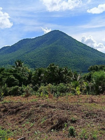 ขายด่วนที่ดินเปล่า  ต.บุฮม อ.เชียงคาน จ.เลย ขนาดที่ดิน  5 ไร่ 88 ตารางวา