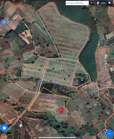 ขายที่ดินเปล่าด่วน  ต. ร่องจิก อ. ภูเรือ จ. เลย  ขนาดที่ดิน 169 - 200 ไร่