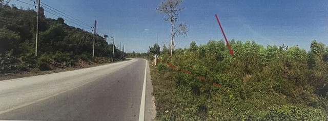 ขายที่ดิน ปลูกต้น ยูคาลิปตัส ติด ถนน 2 ด้าน อำเภอกบินทร์บุรีบุรี จังหวัดปราจีนบุรี