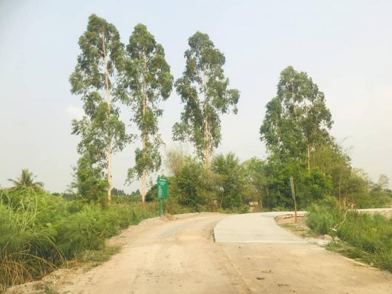 ขายที่ดินเชลบุรีเจ้าของขายเอง ขายที่ดินชลบุรีราคาถูก ขายที่ดินหนองขยาด​  บนเนื้อที่​ 319​   ตรว