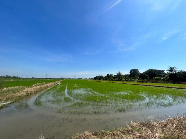 ขายด่วนที่ดินแปลงใหญ่ 104 ไร่ ใกล้โรงเรียน สนามกอลฟ์ ราคาพิเศษ ที่ดินติดถนน ซอยเลียบคลองสิบสาม เหมาะกับการลงทุน ธุรกิจส่วนตัว สนามกอลฟ์