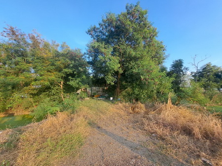 ที่ดินเปล่า ตำบลหน้าประดู่ อำเภอพานทอง จังหวัดชลบุรี เนื้อที่ 1-0-09 ไร่.