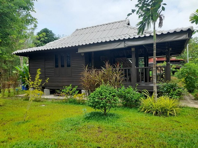 บ้านชาวต่างชาติดูแลอย่างดี ขายถูก! 2 หลังพร้อมที่ดินในหางดง เชียงใหม่